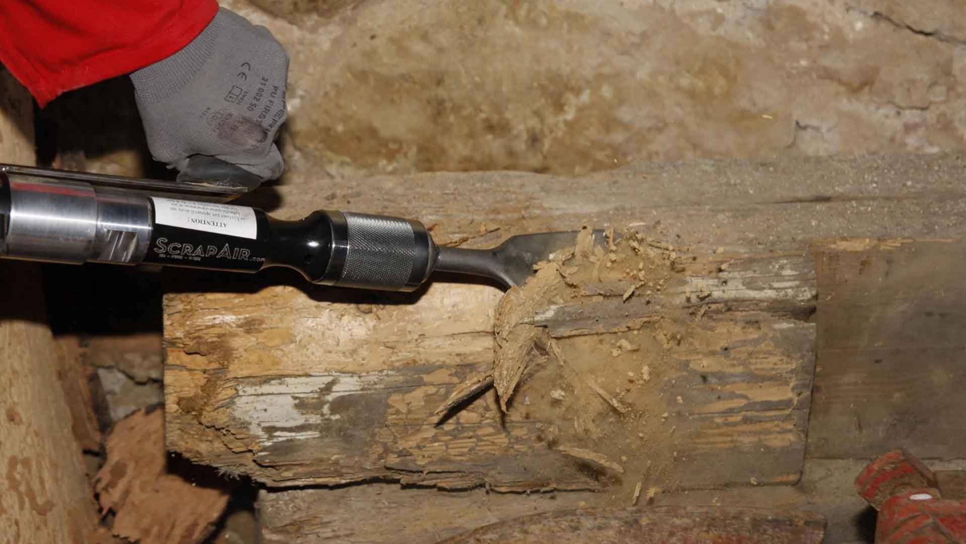 Traitement de bois Manche